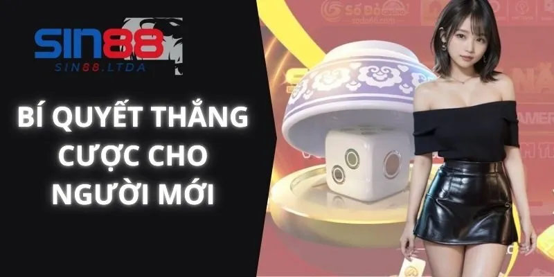 Trò chơi chẵn lẻ bí quyết thắng cược cho người mới