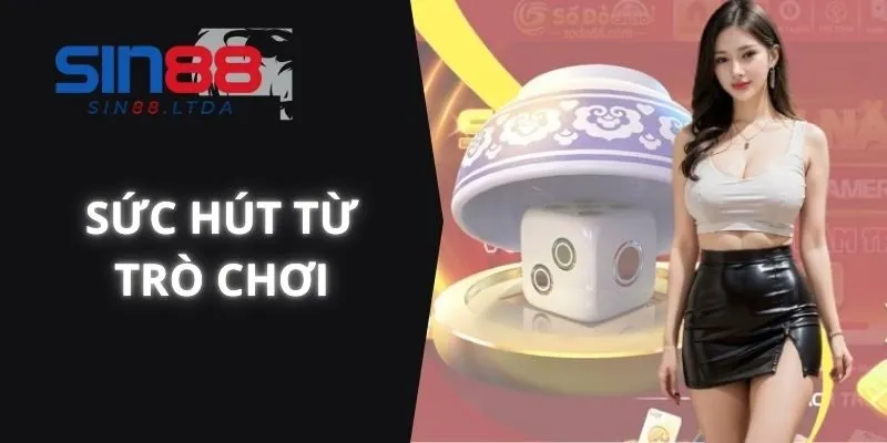 Sức hút từ trò chơi cá cược chẵn lẻ